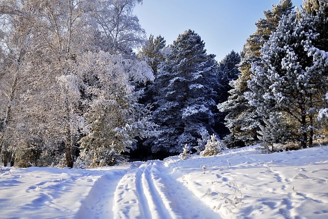 胡志明市为什么叫胡志明市, 胡志明市:从西贡到胡志明市,一个时代的变迁插图2 胡志明市为什么叫胡志明市, 胡志明市:从西贡到胡志明市,一个时代的变迁-图片3