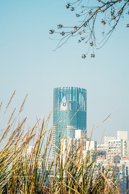 螃蟹为什么吐泡泡，螃蟹吐泡泡的意义插图