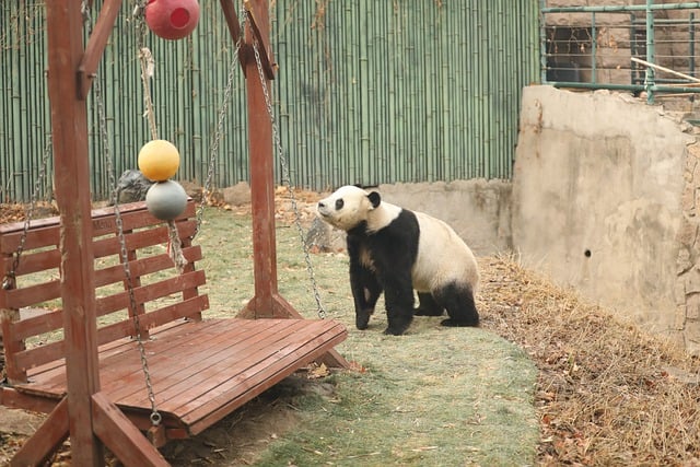 au是什么意思，关于黄金的一些趣事插图