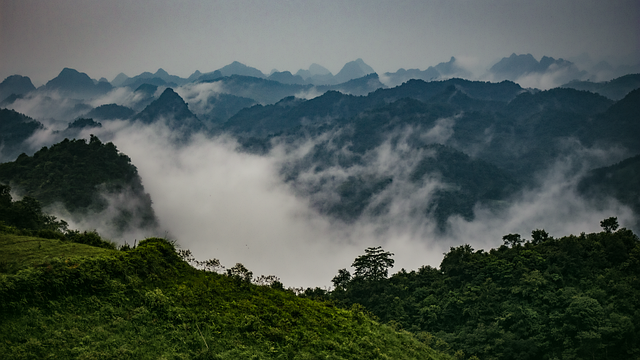 coser是什么意思，coser的类型和发展趋势插图