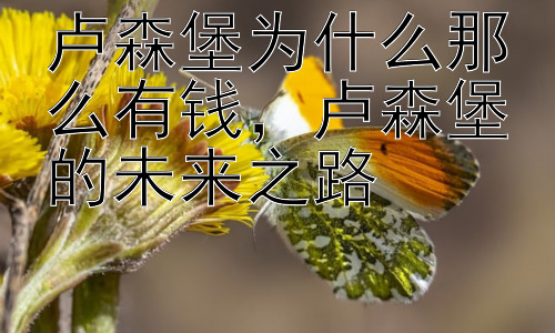 卢森堡为什么那么有钱，卢森堡的未来之路插图