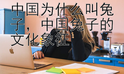中国为什么叫兔子，中国兔子的文化象征插图