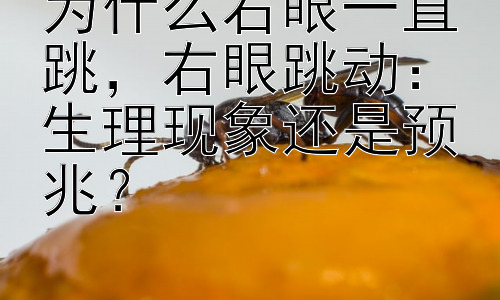为什么右眼一直跳，右眼跳动：生理现象还是预兆？插图