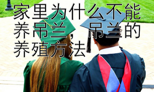 家里为什么不能养吊兰，吊兰的养殖方法插图