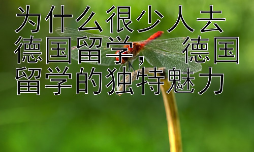 为什么很少人去德国留学， 德国留学的独特魅力插图