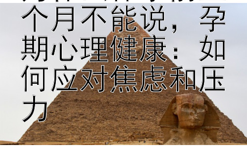 为什么怀孕前三个月不能说，孕期心理健康：如何应对焦虑和压力插图