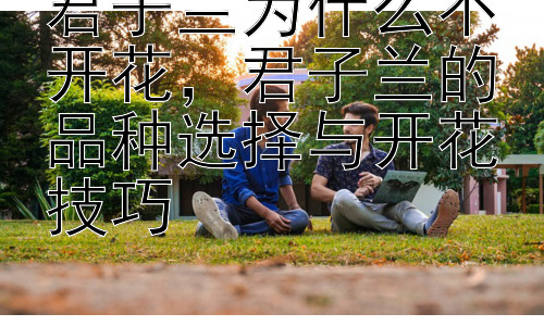 君子兰为什么不开花，君子兰的品种选择与开花技巧插图