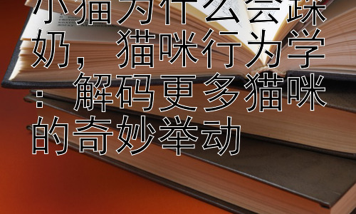 小猫为什么会踩奶，猫咪行为学：解码更多猫咪的奇妙举动插图