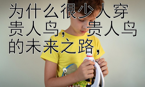 为什么很少人穿贵人鸟， 贵人鸟的未来之路，插图