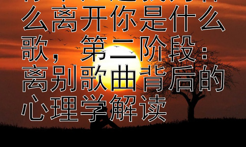 你不知道我为什么离开你是什么歌，第二阶段：离别歌曲背后的心理学解读插图