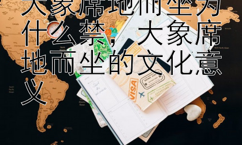 大象席地而坐为什么禁，大象席地而坐的文化意义插图