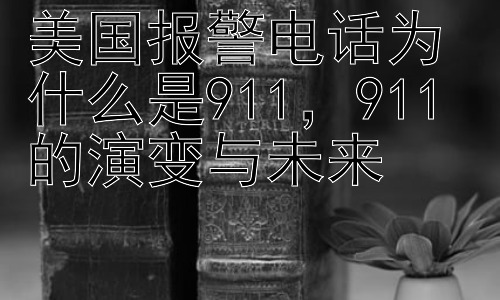 美国报警电话为什么是911，911 的演变与未来插图