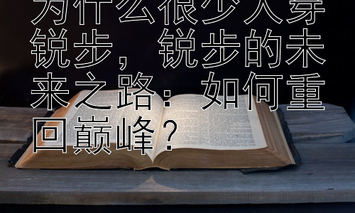 为什么很少人穿锐步，锐步的未来之路：如何重回巅峰？插图