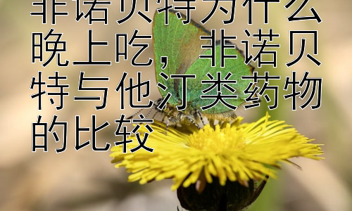 非诺贝特为什么晚上吃，非诺贝特与他汀类药物的比较插图