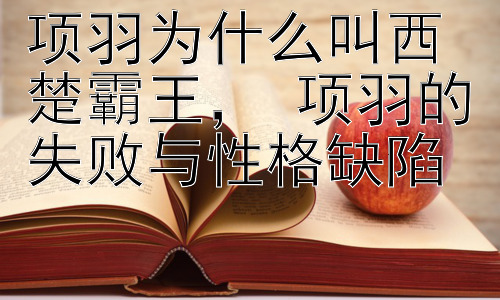 项羽为什么叫西楚霸王， 项羽的失败与性格缺陷插图
