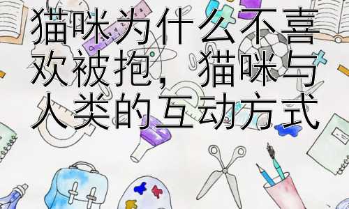 猫咪为什么不喜欢被抱，猫咪与人类的互动方式插图