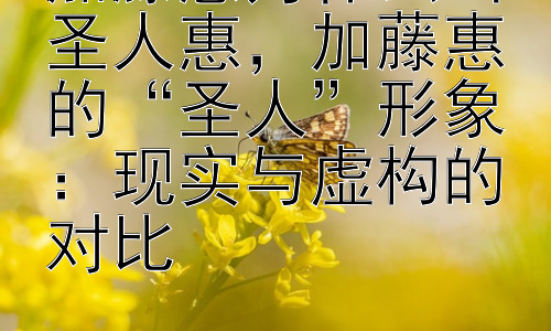 加藤惠为什么叫圣人惠，加藤惠的“圣人”形象：现实与虚构的对比插图