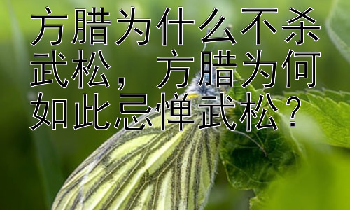 方腊为什么不杀武松，方腊为何如此忌惮武松？插图