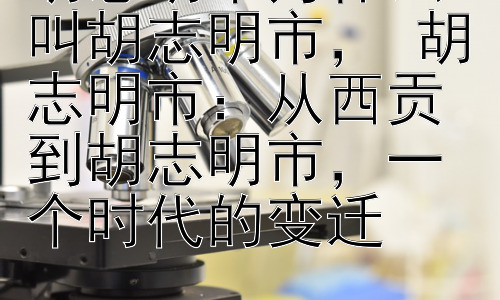 胡志明市为什么叫胡志明市， 胡志明市：从西贡到胡志明市，一个时代的变迁插图