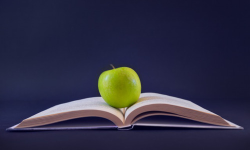 胡志明市为什么叫胡志明市, 胡志明市:从西贡到胡志明市,一个时代的变迁插图1 胡志明市为什么叫胡志明市, 胡志明市:从西贡到胡志明市,一个时代的变迁-图片2