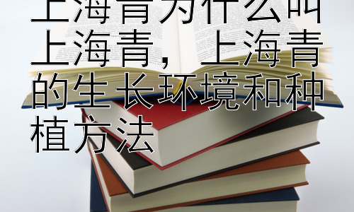 上海青为什么叫上海青，上海青的生长环境和种植方法插图
