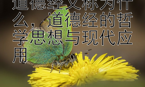 道德经又称为什么，道德经的哲学思想与现代应用插图