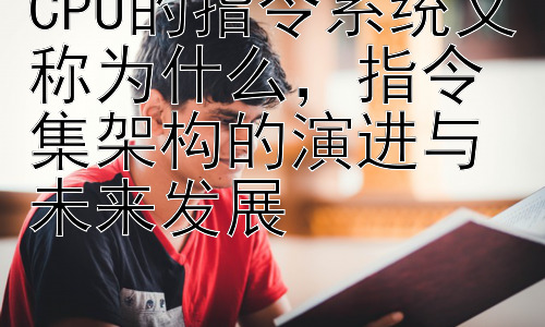 CPU的指令系统又称为什么，指令集架构的演进与未来发展插图