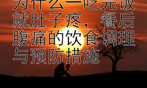 为什么一吃完饭就肚子疼，餐后腹痛的饮食调理与预防措施插图