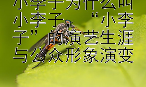 小李子为什么叫小李子，“小李子”的演艺生涯与公众形象演变插图