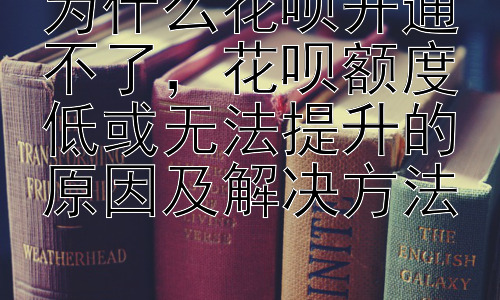 为什么花呗开通不了，花呗额度低或无法提升的原因及解决方法插图