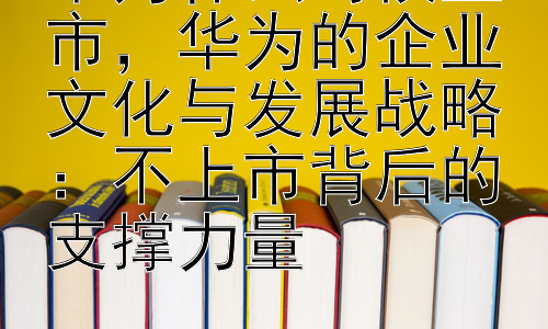 华为什么时候上市，华为的企业文化与发展战略：不上市背后的支撑力量插图