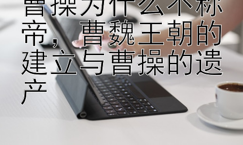 曹操为什么不称帝，曹魏王朝的建立与曹操的遗产插图