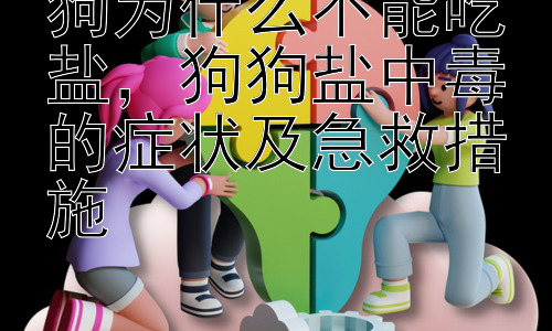 狗为什么不能吃盐，狗狗盐中毒的症状及急救措施插图