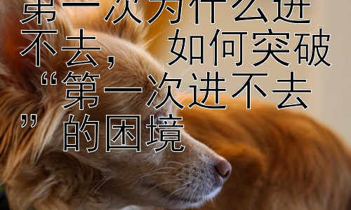 第一次为什么进不去， 如何突破“第一次进不去”的困境插图