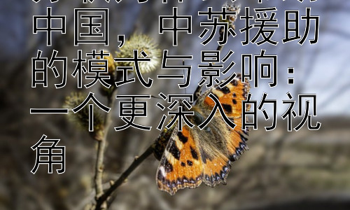 苏联为什么帮助中国，中苏援助的模式与影响：一个更深入的视角插图