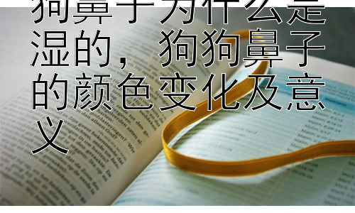 狗鼻子为什么是湿的，狗狗鼻子的颜色变化及意义插图