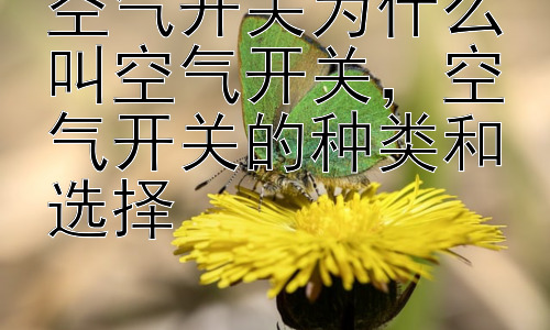空气开关为什么叫空气开关，空气开关的种类和选择插图