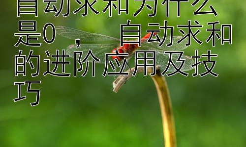 自动求和为什么是0 ， 自动求和的进阶应用及技巧插图