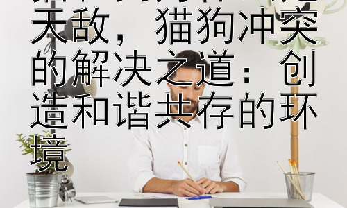 猫和狗为什么是天敌，猫狗冲突的解决之道：创造和谐共存的环境插图