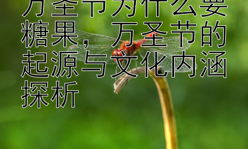 万圣节为什么要糖果，万圣节的起源与文化内涵探析插图