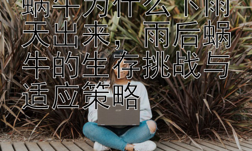 蜗牛为什么下雨天出来，雨后蜗牛的生存挑战与适应策略插图