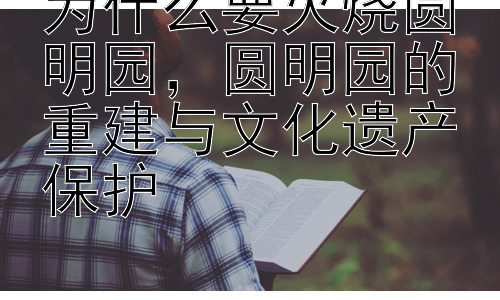 为什么要火烧圆明园，圆明园的重建与文化遗产保护插图
