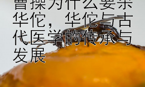 曹操为什么要杀华佗，华佗与古代医学的传承与发展插图