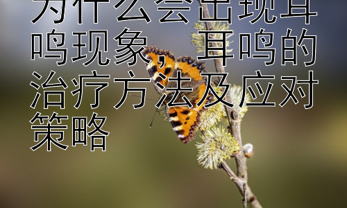 为什么会出现耳鸣现象，耳鸣的治疗方法及应对策略插图