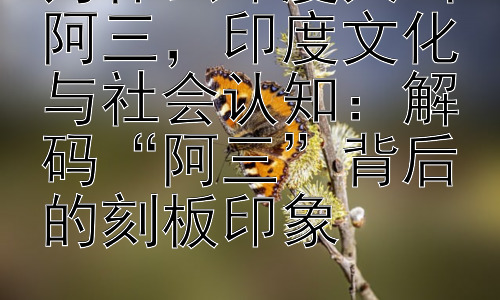 为什么印度人叫阿三，印度文化与社会认知：解码“阿三”背后的刻板印象插图