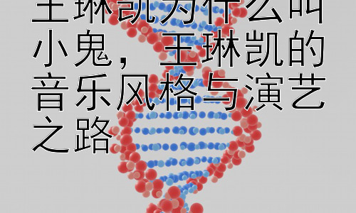 王琳凯为什么叫小鬼，王琳凯的音乐风格与演艺之路插图