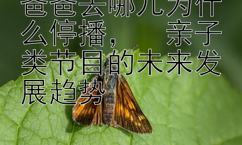 爸爸去哪儿为什么停播，  亲子类节目的未来发展趋势插图