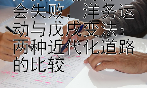 洋务运动为什么会失败，洋务运动与戊戌变法：两种近代化道路的比较插图