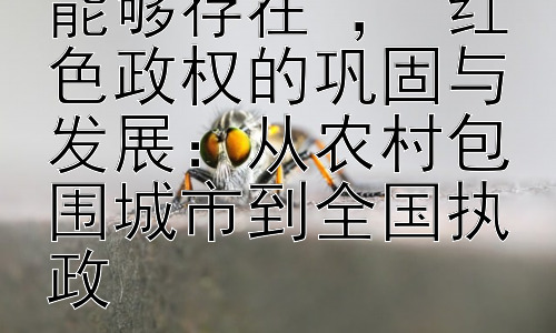 红色政权为什么能够存在 ， 红色政权的巩固与发展：从农村包围城市到全国执政插图