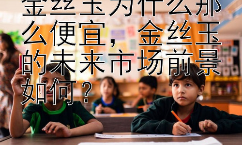 金丝玉为什么那么便宜，金丝玉的未来市场前景如何？插图